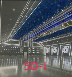 5d 1